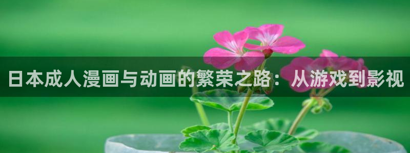 58动漫官网：日本成人漫画与动画的繁荣之路：从游戏到影视