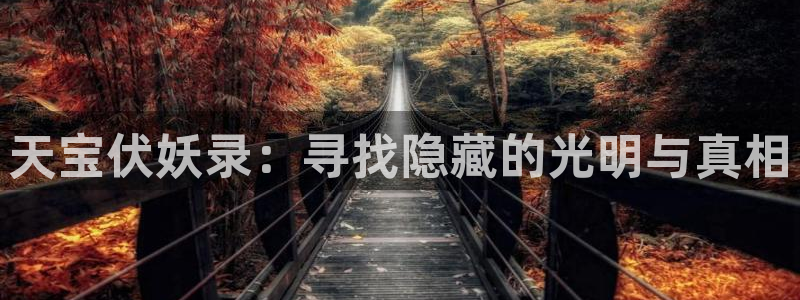 58动漫网热门动漫：天宝伏妖录：寻找隐藏的光明与真相