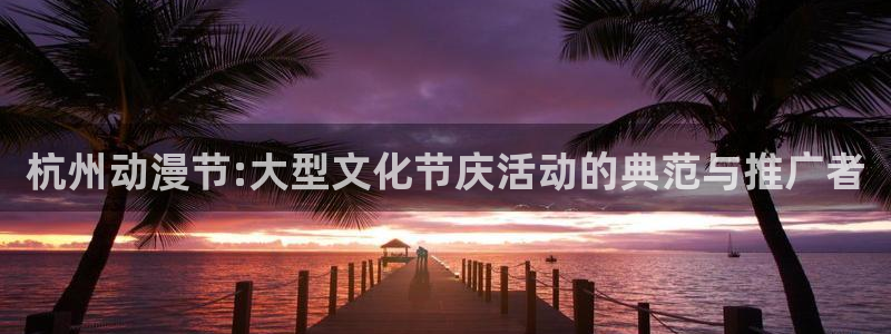 58动漫网官网：杭州动漫节:大型文化节庆活动的典范与推广者