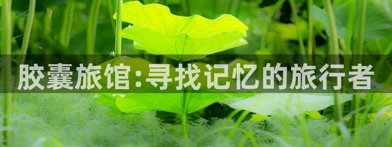 58动漫网站官：胶囊旅馆:寻找记忆的旅行者