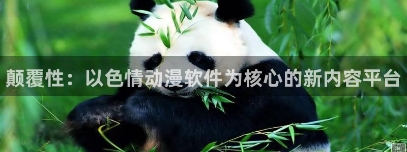 58动漫.：颠覆性：以色情动漫软件为核心的新内容平台