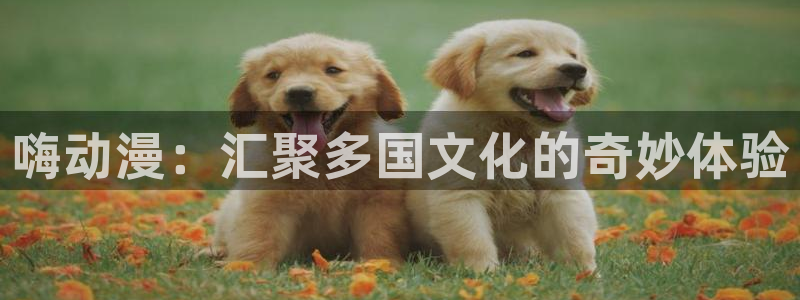 58动漫动画：嗨动漫：汇聚多国文化的奇妙体验