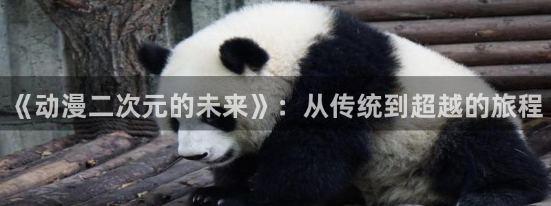 58动漫网在线：《动漫二次元的未来》：从传统到超越的旅程