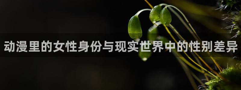 58动漫在线播放：动漫里的女性身份与现实世界中的性别差异