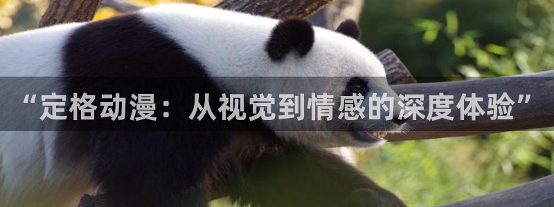 58动漫网下载：“定格动漫：从视觉到情感的深度体验”