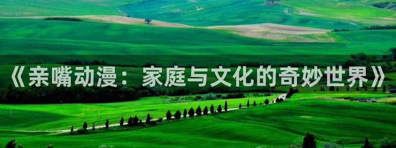 58动漫网,动漫：《亲嘴动漫：家庭与文化的奇妙世界》